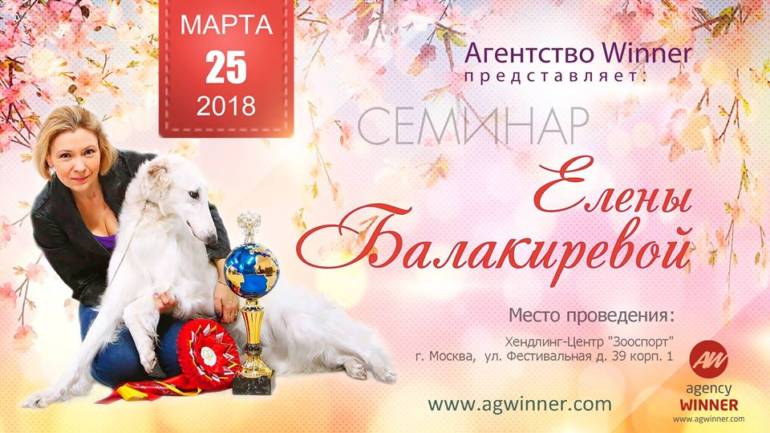 Семинар по хендлингу в Москве 25 марта 2018